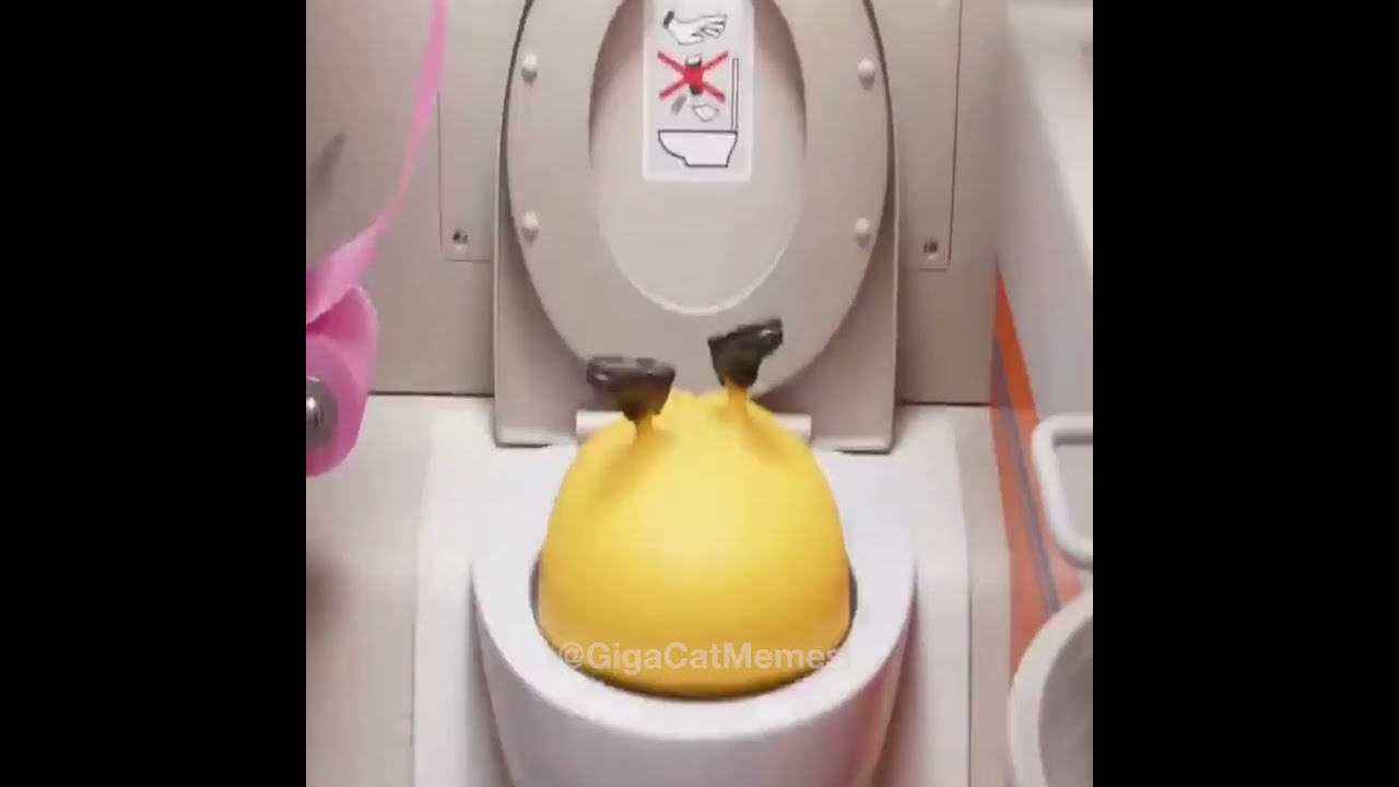 Why Jet2 Holidays Are the Best! ✈️