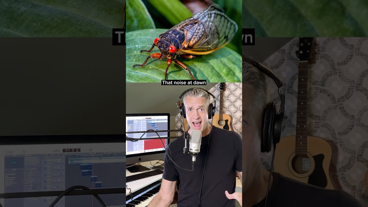 CICADA CICADA! 😳#parody