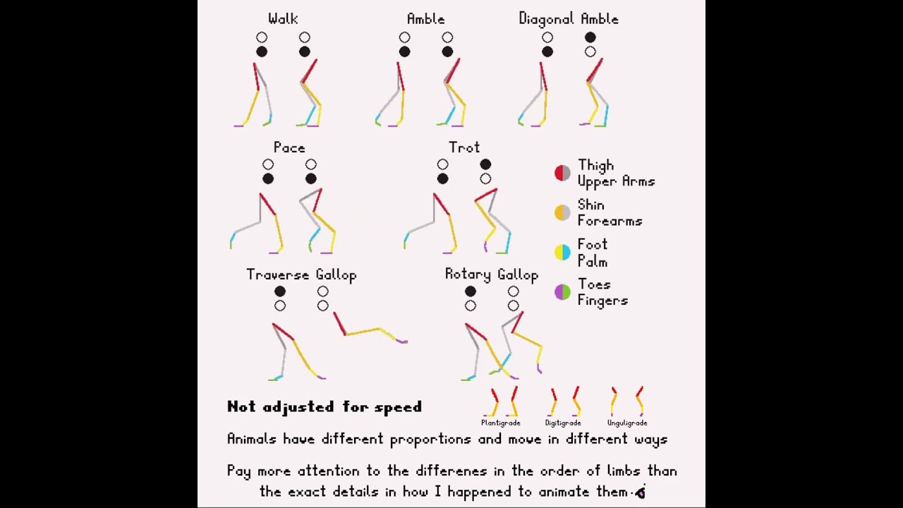 Quadruped Movement Animation Tutorial 🐾