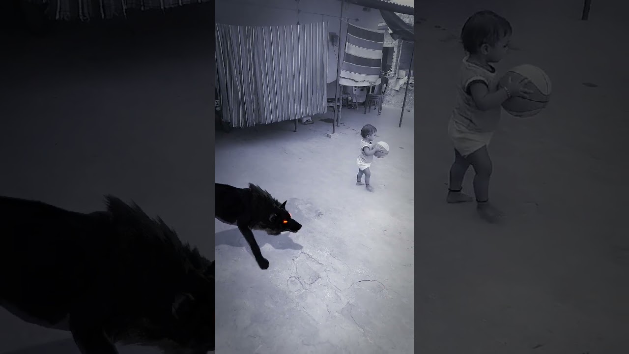 Relaxing Wolf Sounds in Village 🌲