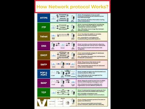 How Network Protocols Work: The Basics Explained