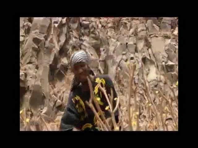 Faby mc_Bokira Profile