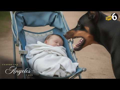 Madre adolescente se va de fiesta y deja a su hijo con un perro dóberman