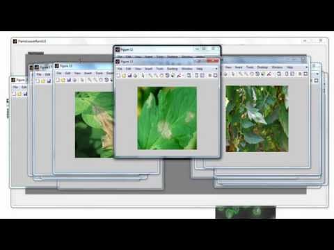 Image Processing Projects using Matlab