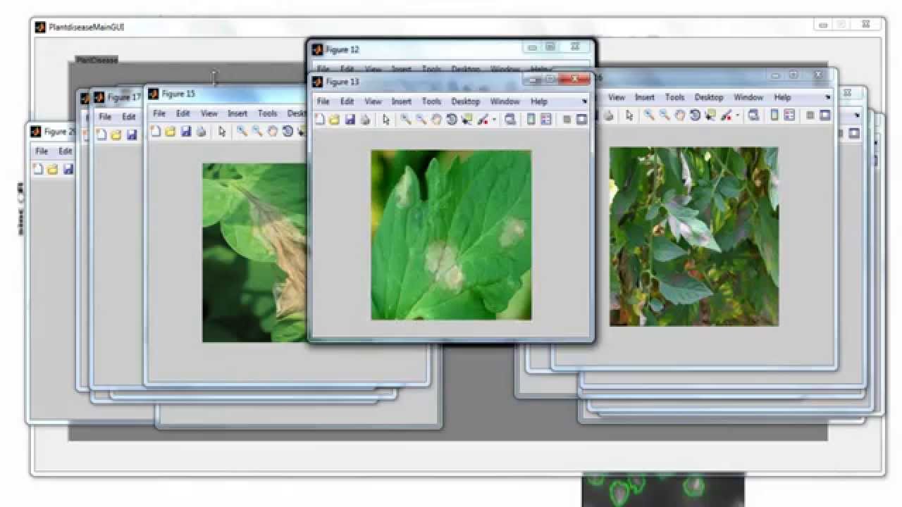 Top Image Processing Projects in MATLAB for Beginners & Experts 📸