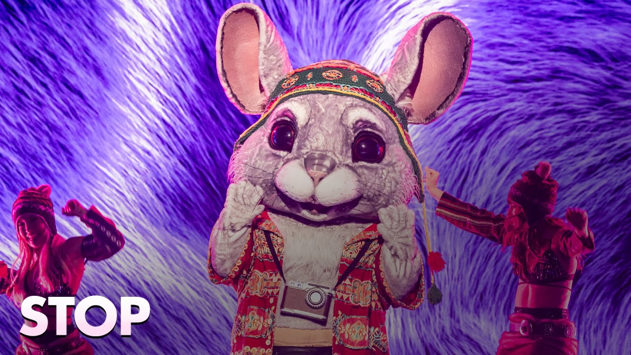 Chinchilla's 'Stop' Impresses on Masked Singer 🎤
