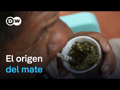 El origen de la yerba y la tradición sudamericana