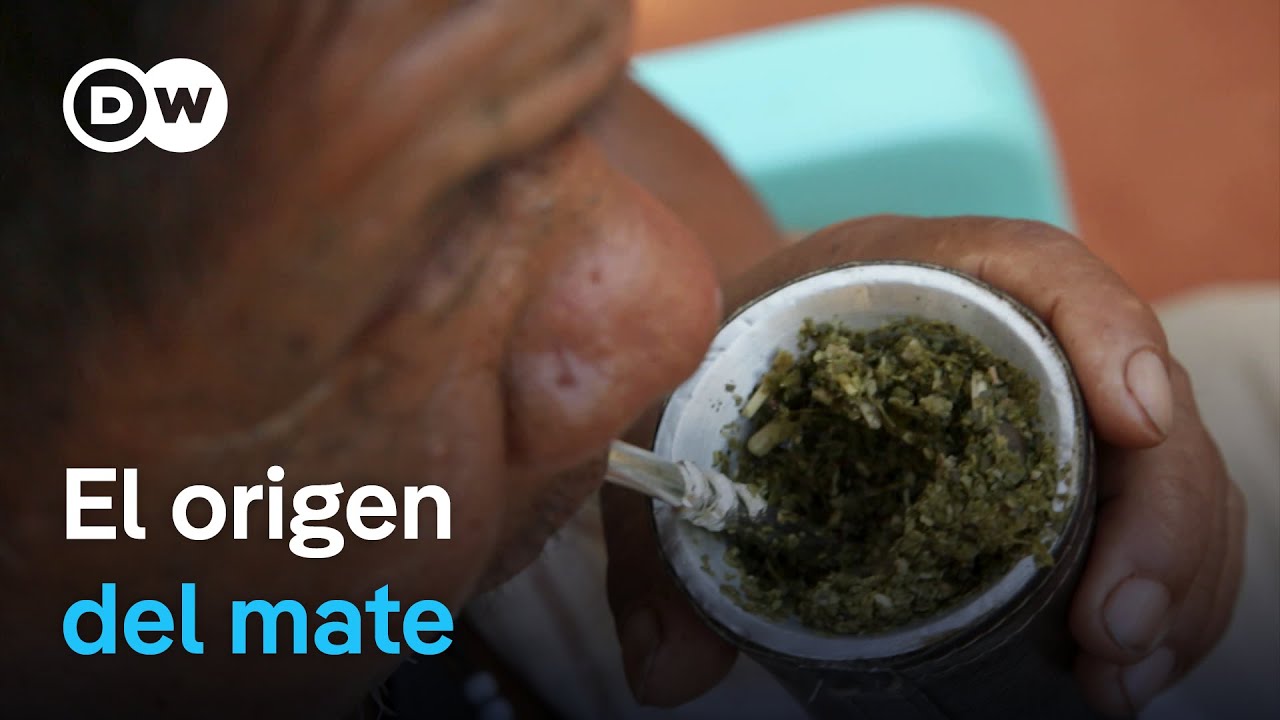 El origen de la yerba y su tradición en Sudamérica