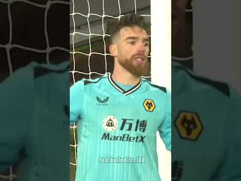 James Ward-Prowse's exceptional 35 yard knuckleball free kick vs Wolves!