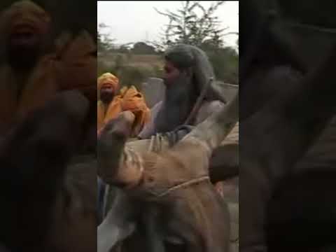 नरसी का भात भाग 3 | Narsi ka Bhat part