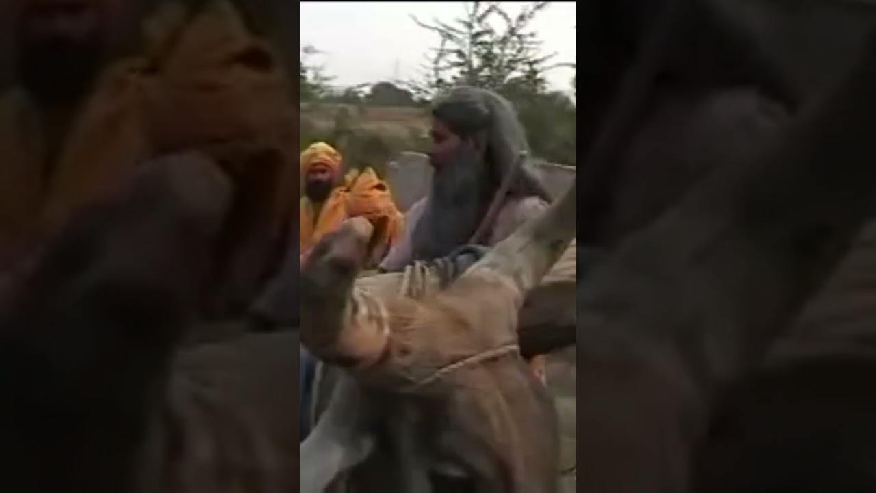 नरसी का भात भाग 3 – मनोरंजक कहानी का मजेदार अनुभव 🍚