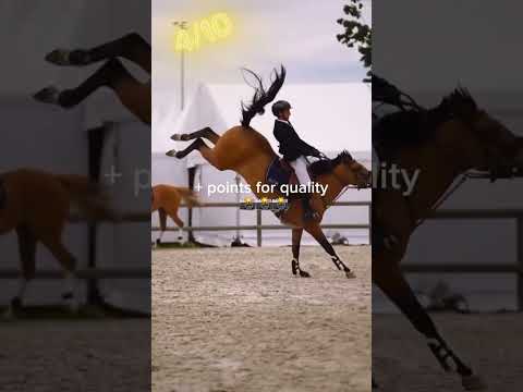 These riders are so good #horse #equestrain #horsefail #horseriding #horselover #sport #funny #fypシ゚