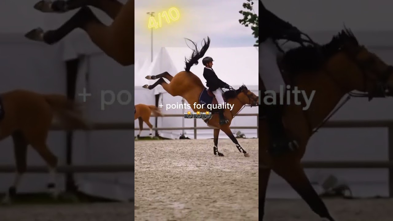 Impressive Horse Riding Skills and Funny Moments