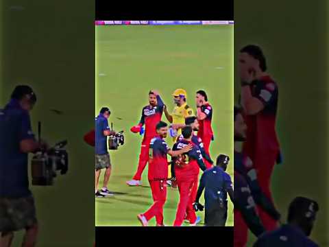 Virat Kohli With Ms Dhoni After Match #shorts #cricket #viratkohli #msdhoni