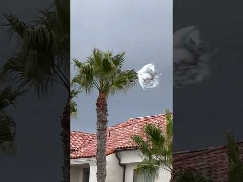 Have you ever seen a F-22 Raptor Fighter Jet Pulling a Thrust Vector? #pacificairshow #airforce