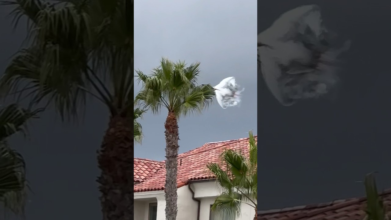 F-22 Raptor Demonstrates Thrust Vectoring at Pacific Airshow