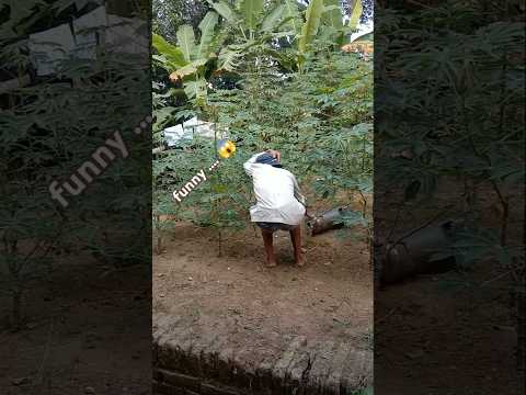 video lucu bikin ngakak | viral tiktok lucu 2024