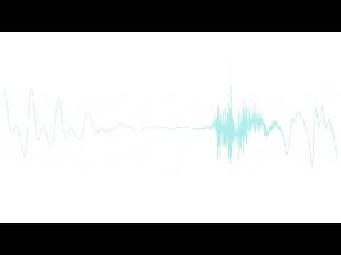 The Cabinet's Ethical Blind Spot: Data Analyst's Concealed Arrest and the Crisis of Public Trust