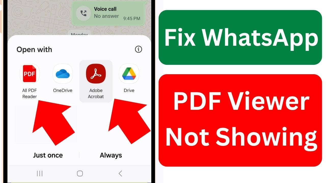 WhatsApp PDF Viewer Not Showing: How to Fix the Opening Issue