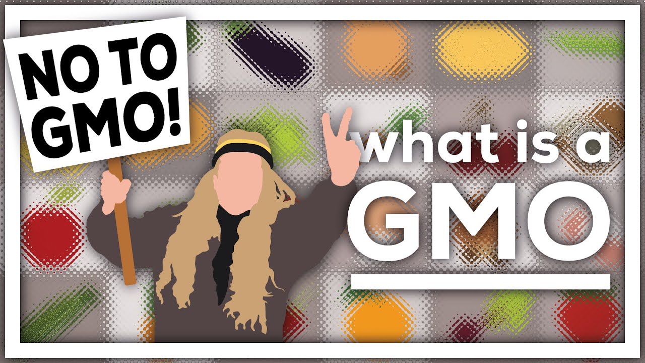 What Are GMOs? Understanding Genetic Modification 🌱