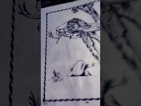 Which drawing is good this one a tiger One that I upload yesterday.