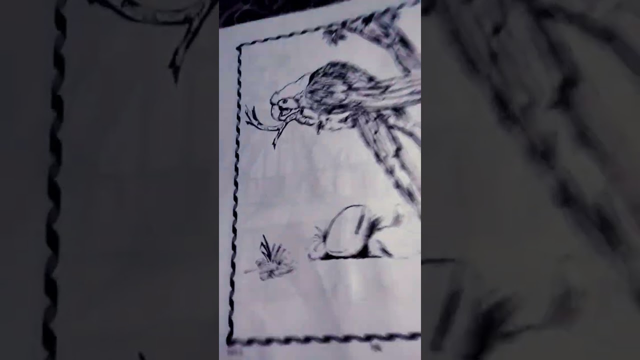 Compare Your Recent Tiger Drawings π