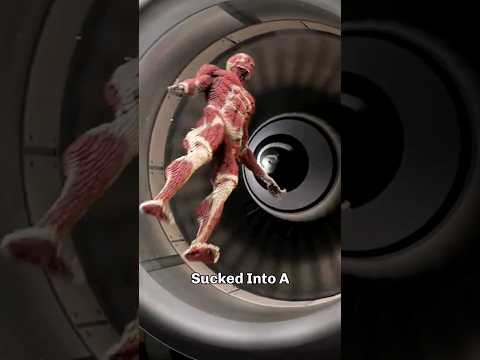 What Would Happen If You Get Sucked Into a Jet Engine? 😨