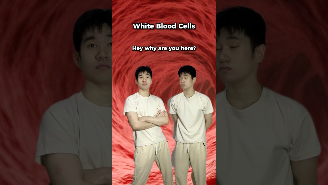 How Your Body Manages Good & Bad Bacteria 🦠