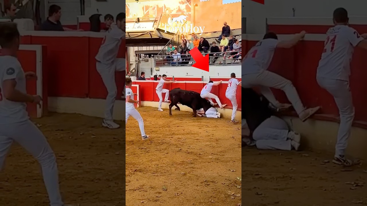 Amigos arriesgan todo por joven en apuros 😱