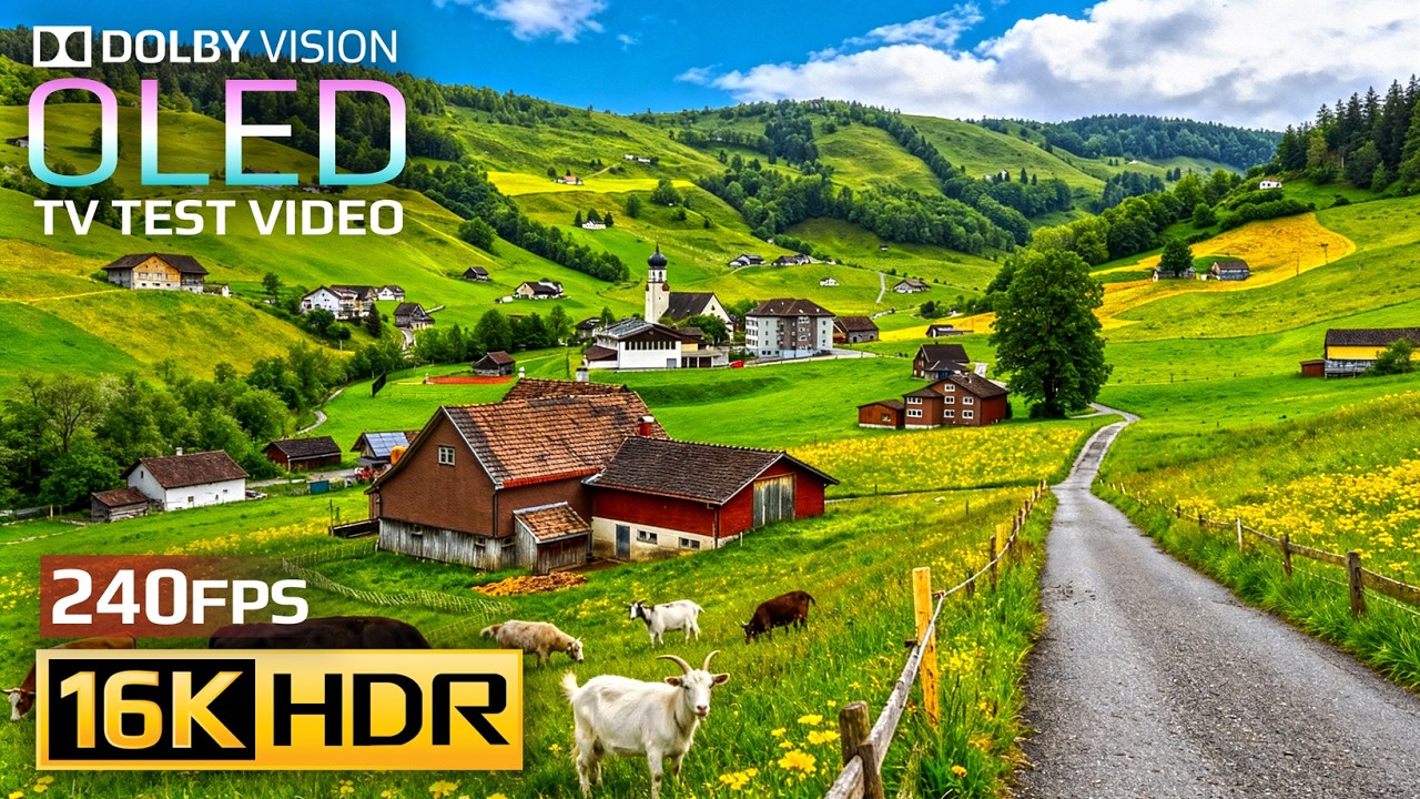 Ultimate 16K HDR Visuals | 240fps Dolby Vision 🎥