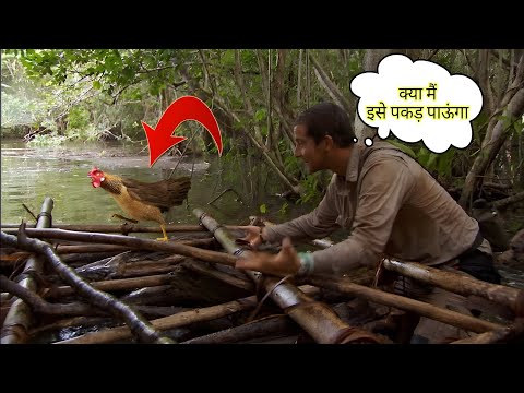 क्या मैं इसे पकड़ पाऊंगा Men vs Wild full episode Hindi ll Bear Grylls ll Bear vs Chicken #wild