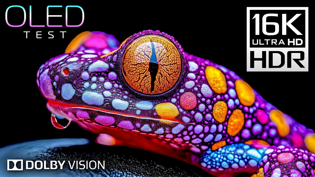 Experience Stunning Clarity: 16K Ultra HD OLED Test with Dolby Vision 🎥
