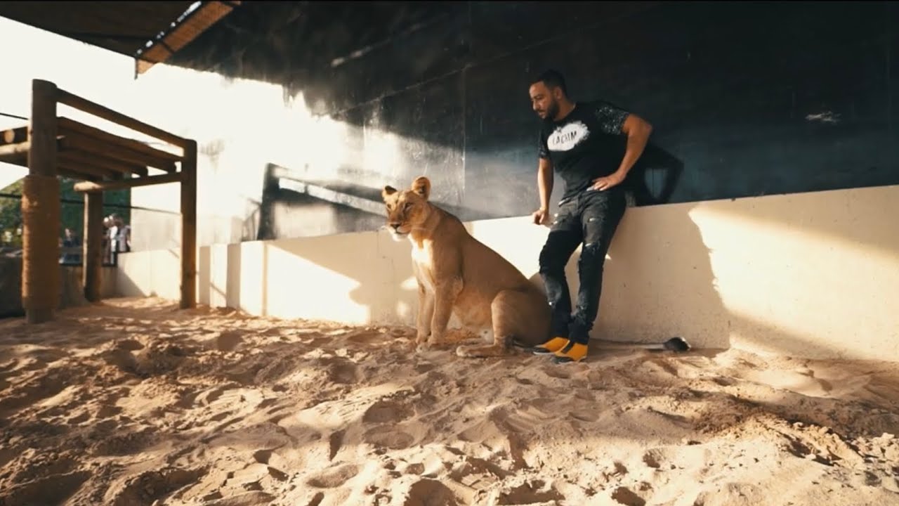 Lacrim Drops New Freestyle 'Tiguere 2' — Preorder His Upcoming Album! 🎶