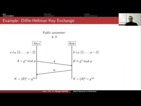 Discrete Logarithm Problem for Blockchains & Cryptocurrencies