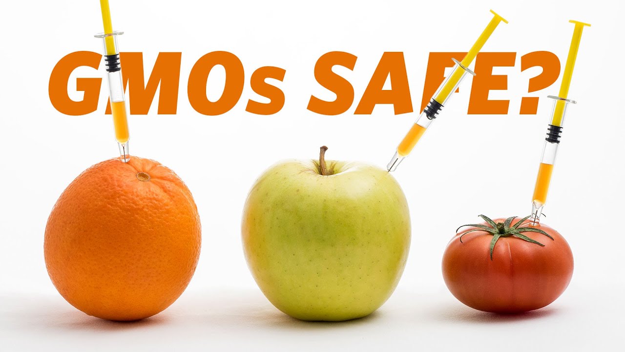Are GMO Foods Safe? Insights & Controversies