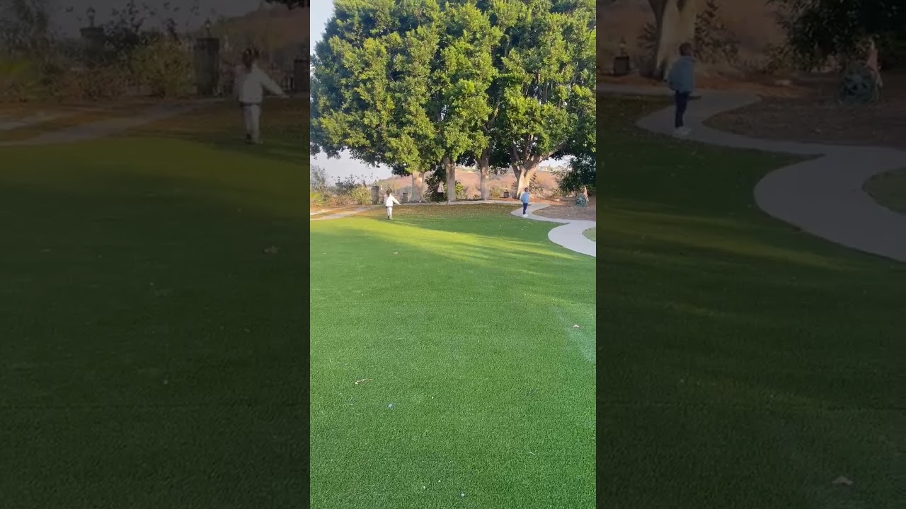 Bubby Twins Enjoy Playtime in New Backyard 🏡