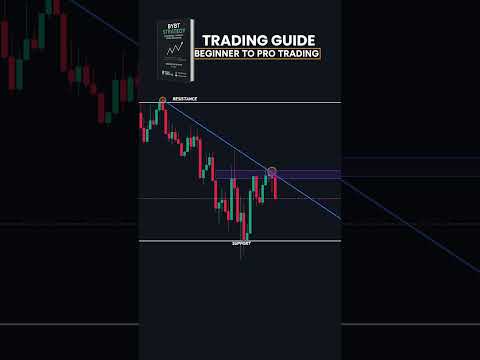 The Best Forex Trading Tips for Beginners