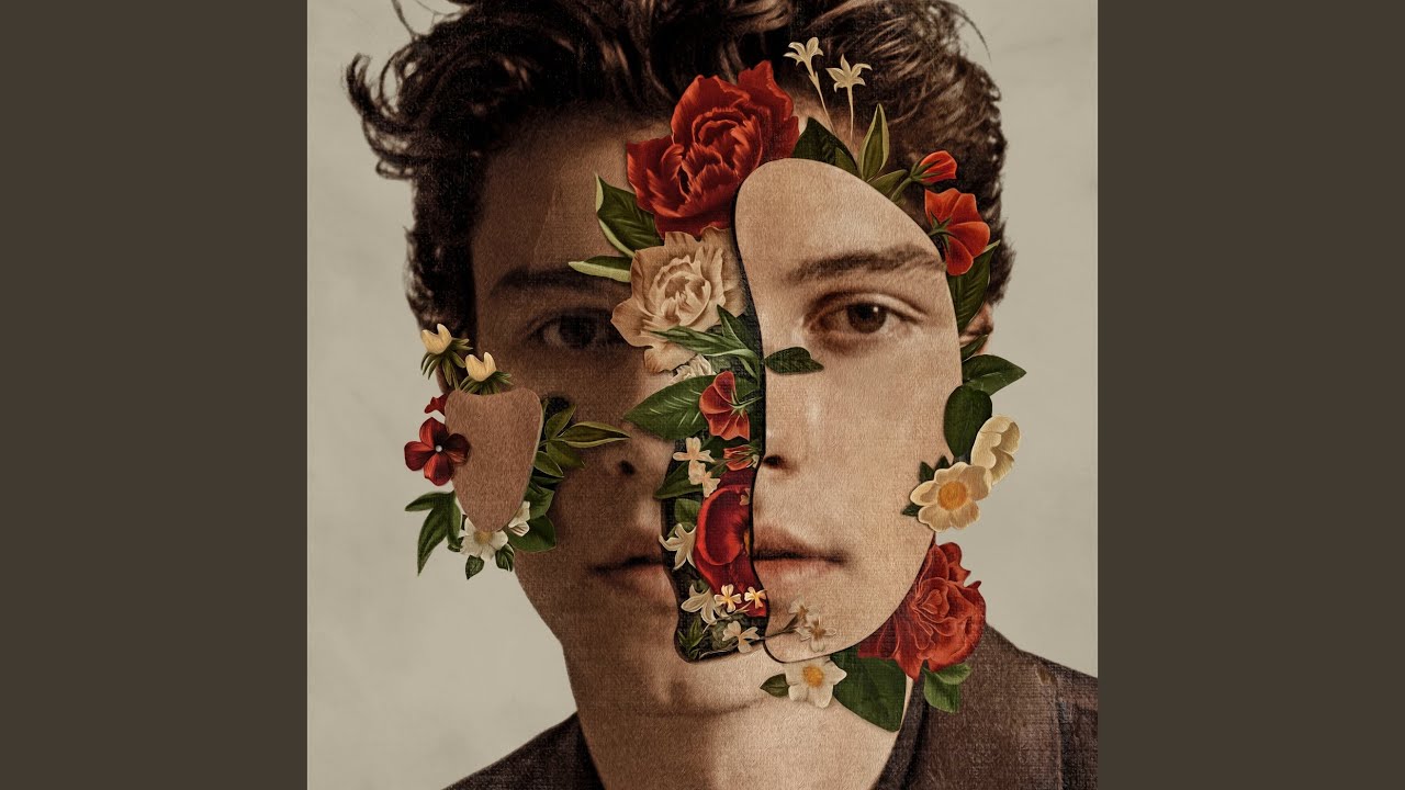 Fallin' All In You by Shawn Mendes 🎶