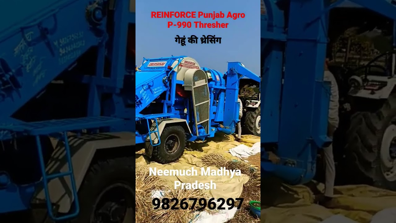 Watch Wheat Threshing in Neemuch, Madhya Pradesh 🚜 | Reinforce Thresher Demonstration