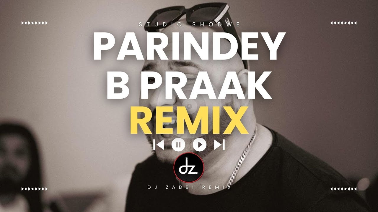 Parindey Remix πΆ | B Praak, Sargun, Gippy & More | Dz Original Mix