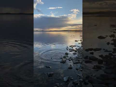 #shorts #природа #бурабай #казакстан #красота #жизнь #скрипка #мелодиядуши