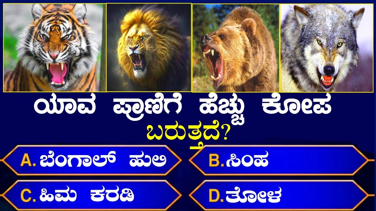 ಸಾಮಾನ್ಯ ಜ್ಞಾನ ಪ್ರಶ್ನೆಗಳು ಕನ್ನಡದಲ್ಲಿ 🧠