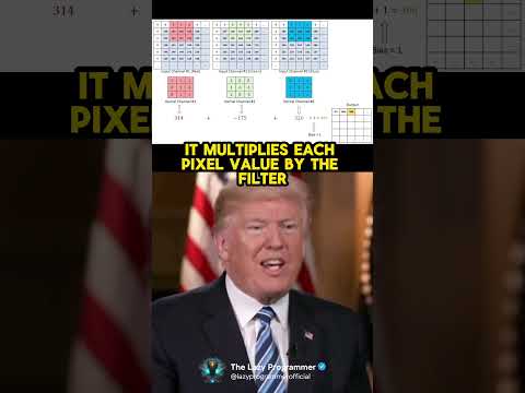 🤖Convolutional Neural Networks (CNNs) by #andrewtate and #donaldtrump