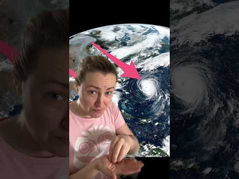 The Navier-Stokes Equations in your coffee #science