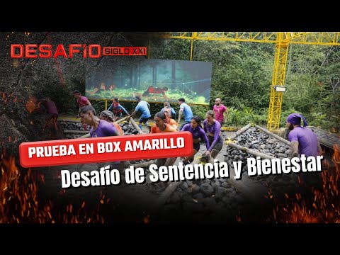 Los participantes ponen a prueba su puntería y agilidad, ¿qué equipo ganará? | Desafío del Siglo