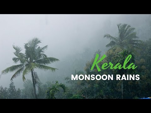 Why Kerala for Monsoon? - Best Monsoon video
