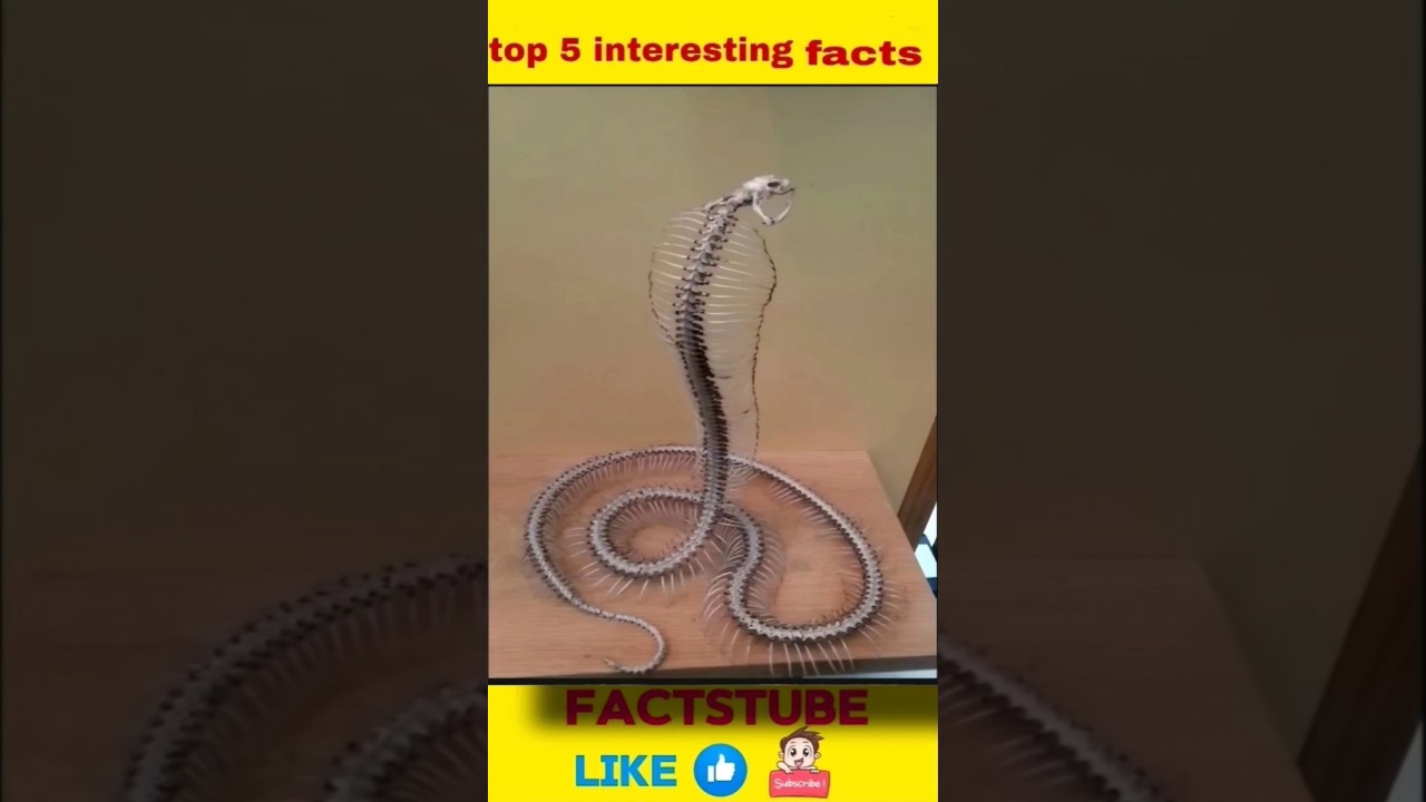 top 5 Top 5 Fascinating Telugu Facts 🤯