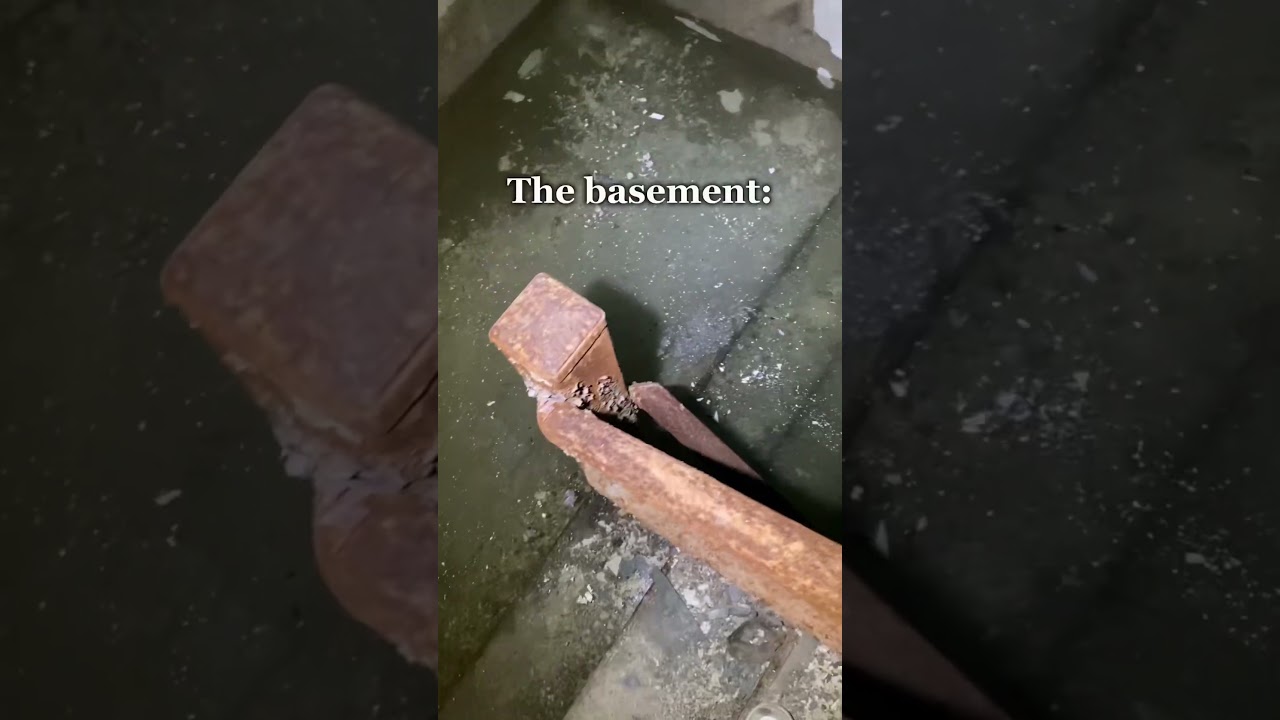 Unexpected Brain-Eating Amoeba Found 🧠