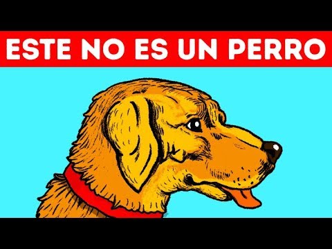 11 Ilusiones ópticas que engañarán a tus ojos