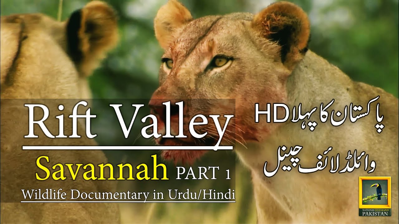 Rift Valley Savannah 2024 Wildlife Doc Part 1 🦁